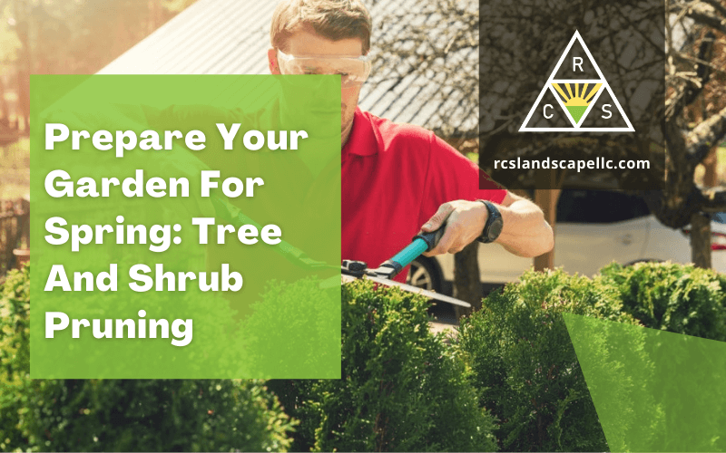 Prepare Your Garden For Spring: Tree And Shrub Pruning