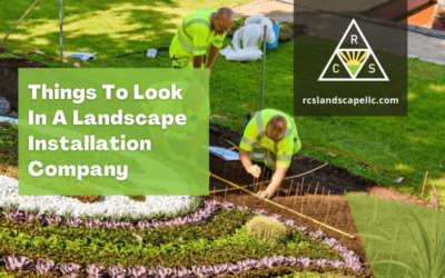 Things To Look In A Landscape Installation Company