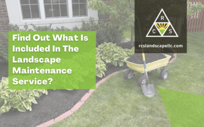 Find Out What Is Included In The Landscape Maintenance Service?