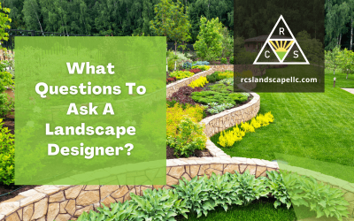What Questions To Ask A Landscape Designer?
