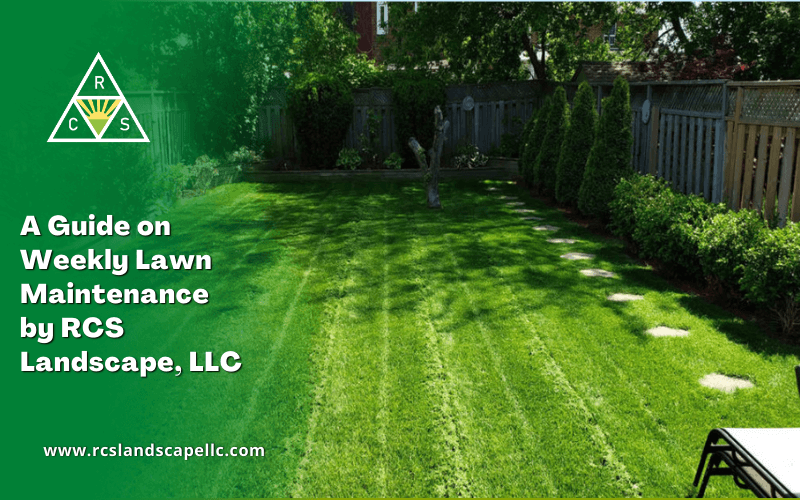 A Guide on Weekly Lawn Maintenance